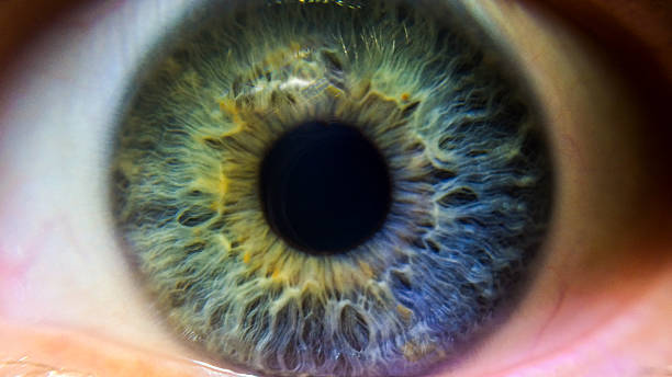 What is iris photography?
