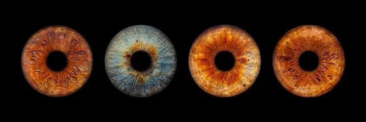 Why Custom Iris Prints Make Thoughtful Gifts
