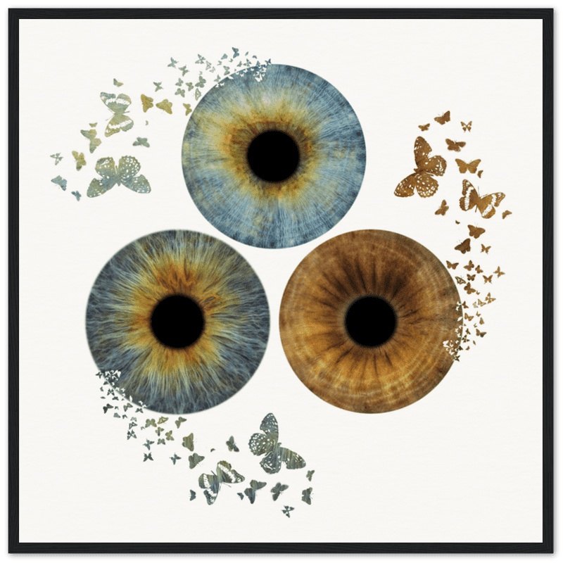 Trio iris poster in black frame with butterfly accents