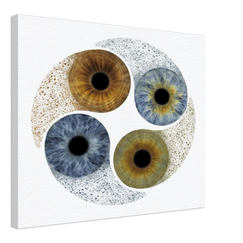 Ethereal Quartet Iris Canvas with four colorful irises on white