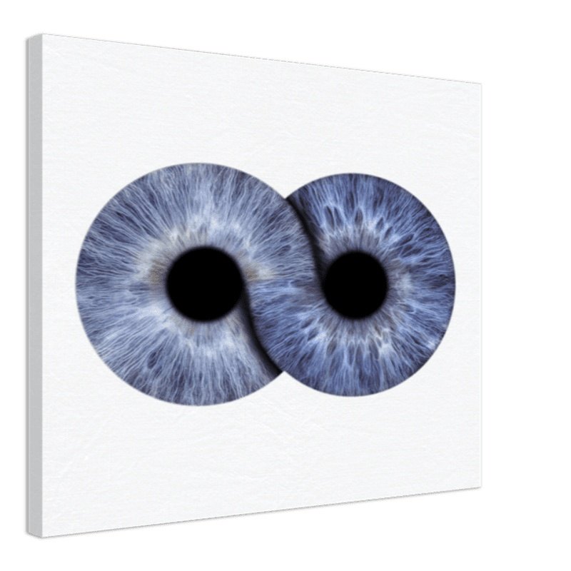 Infinite duo iris canvas on white background