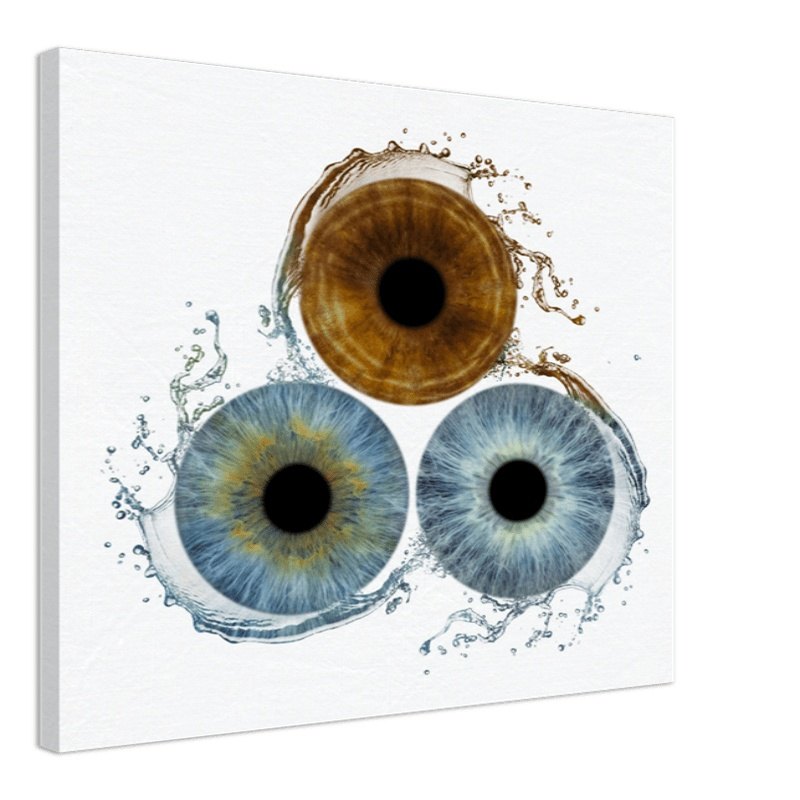 Custom trio iris canvas with white background
