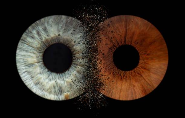 Eye Art