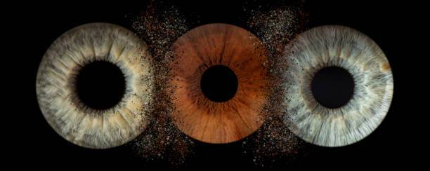 Turn my iris photo into art