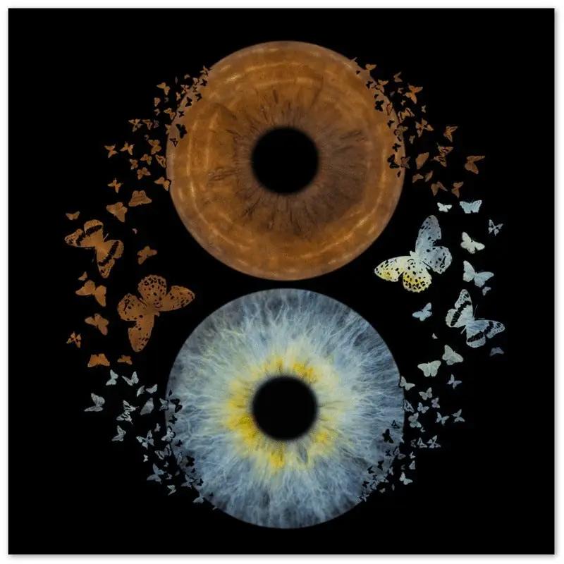 Custom duo iris poster with butterflies on black background