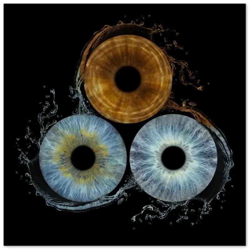 Detailed trio iris canvas art on black