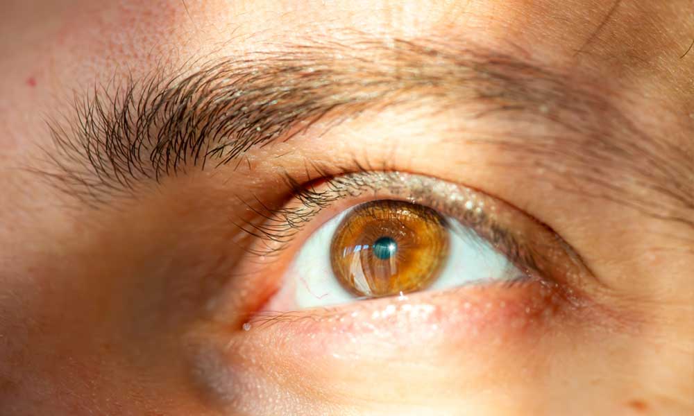 How to photograph iris at home