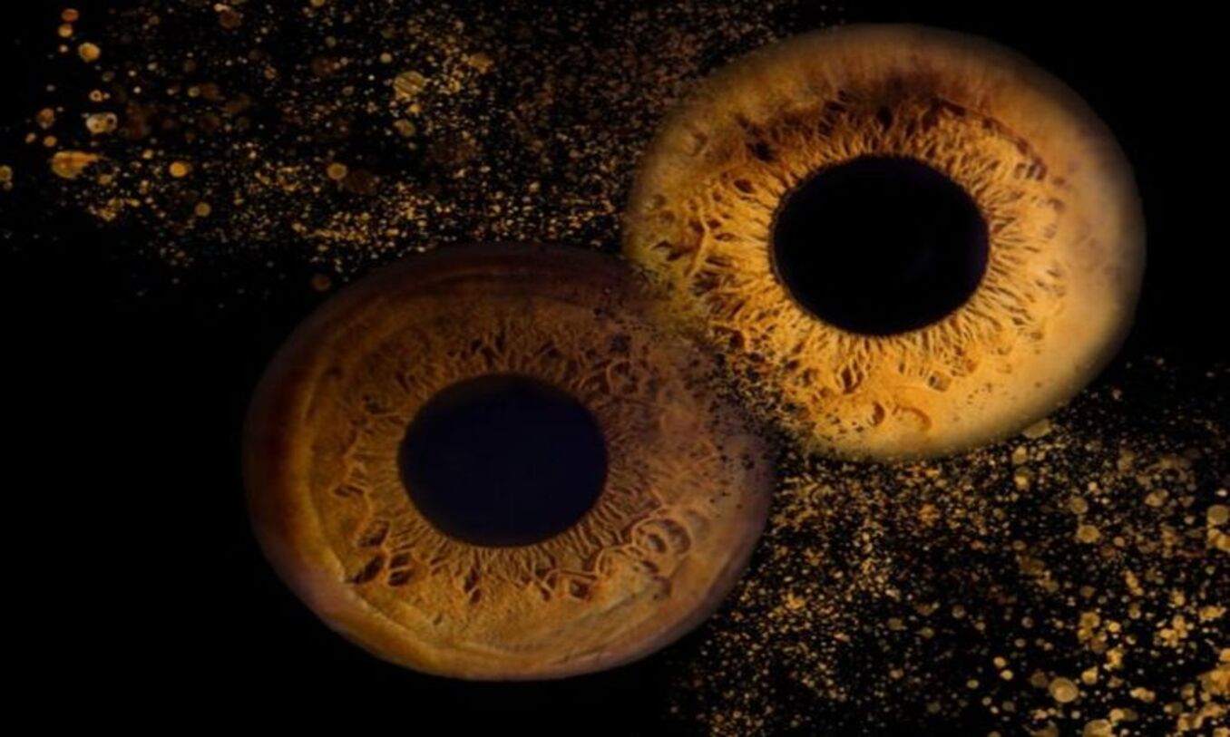 Iris Art Photography