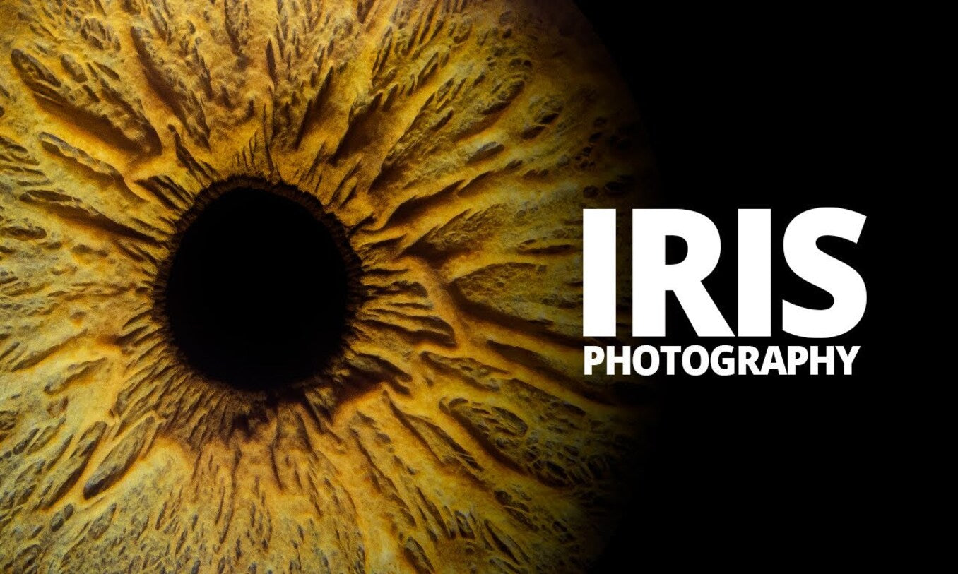 Iris Photoshoot: Guide to Capturing and Turning Your Eye Into Art