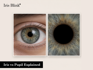 Iris vs Pupil Explained: Everything You Need to Know