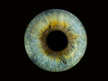 Iris art from photo