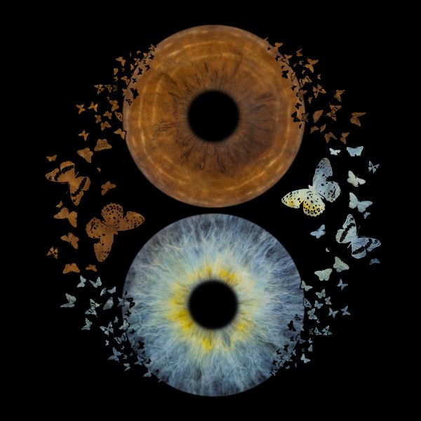 Online Custom Iris Art