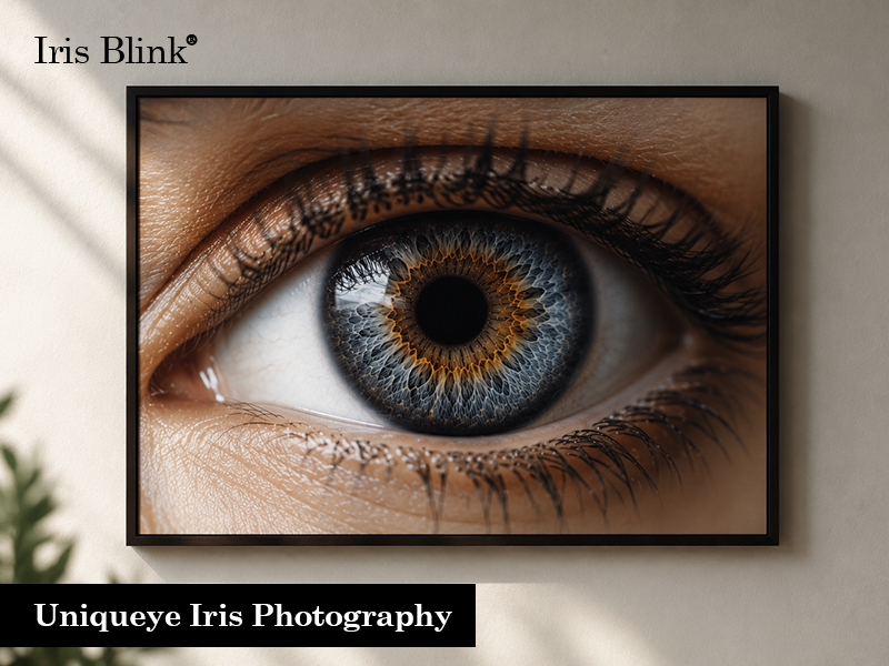 Uniqueye Iris Photography: Transform Your Eye Into Stunning Wall Art