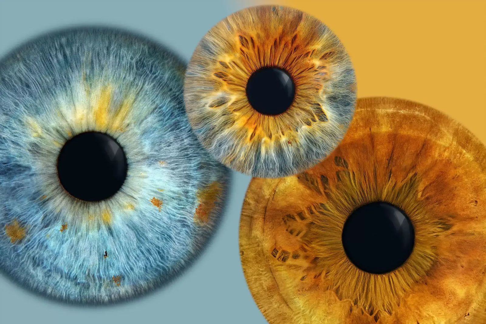 Uniqueye Iris Photography