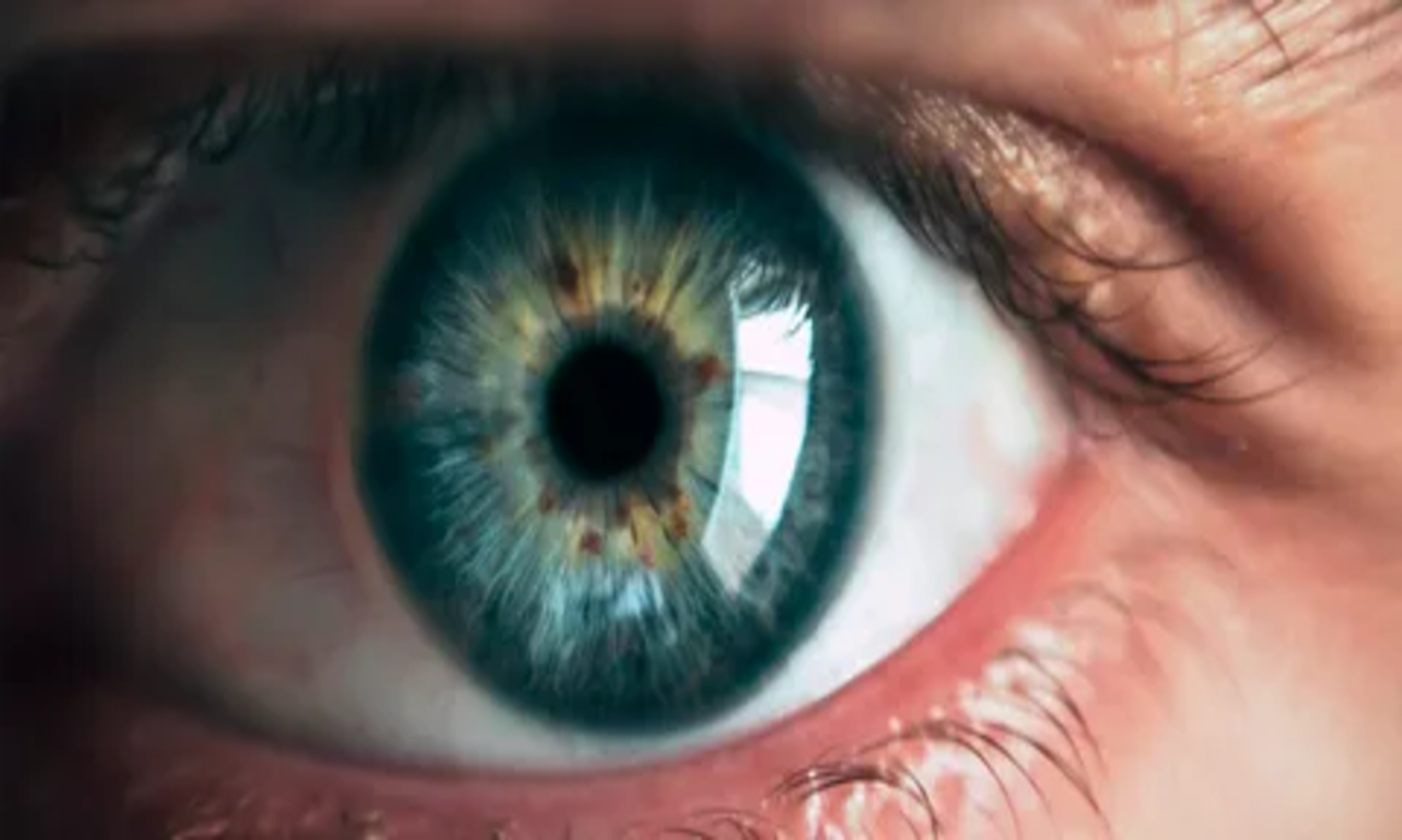 iris eye art photography