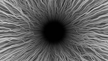 Eye Themed Gifts