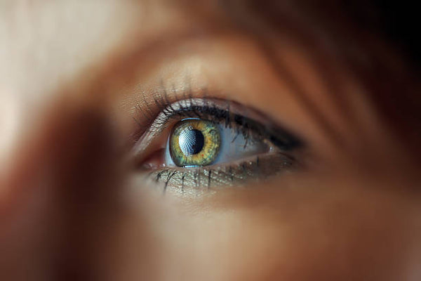 Pro Lighting Tips For Stunning Iris Photos With Your Phone Iris Blink Pro Lighting Tips For Stunning Iris Photos With Your Phone Iris Blink