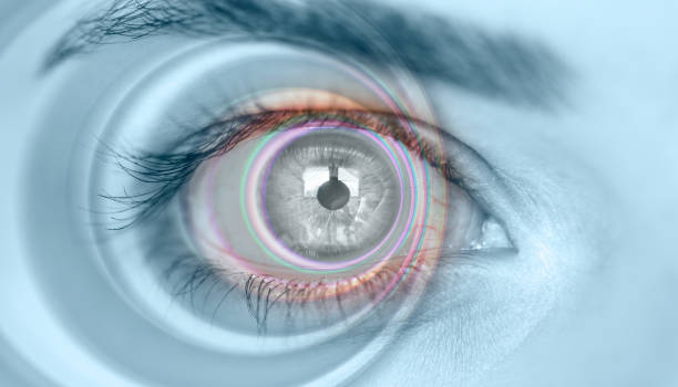What Are 8 Facts About The Eye From Evolution To Night Vision Iris What Are 8 Facts About The Eye From Evolution To Night Vision Iris