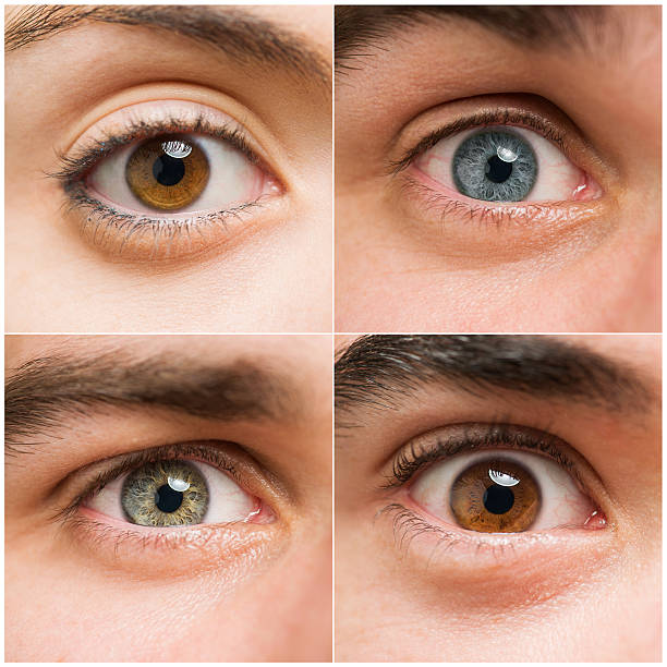 Eye Colors 