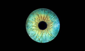 iris photography 