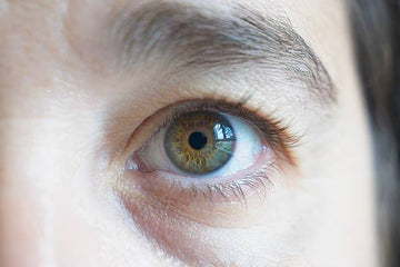 Hazel Eyes