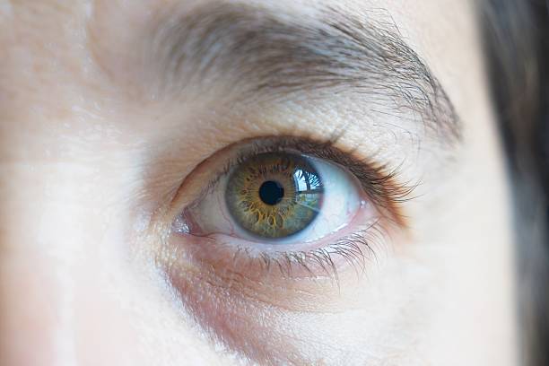 Hazel Eyes