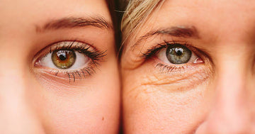 picture of your eye