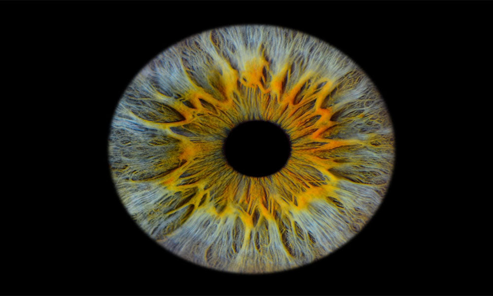 Iris wall decor: The Complete Guide to Custom Eye Art for Your Home