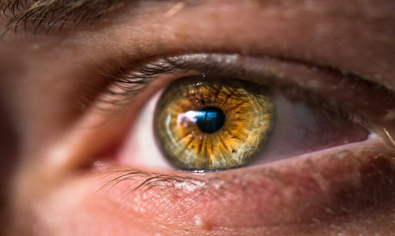 what is the iris in the eye