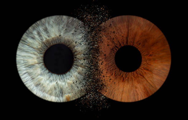 Iris Blink Gift Card