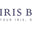 Iris Blink® logo