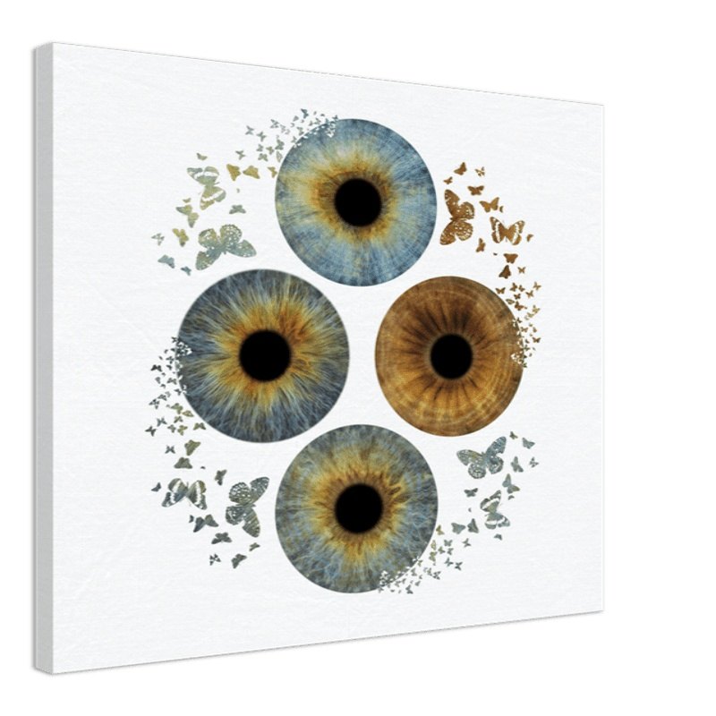 Custom Quartet Iris Canvas with butterfly effect on black background