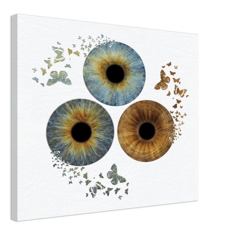 Custom Trio Iris Canvas with butterfly effect on black background