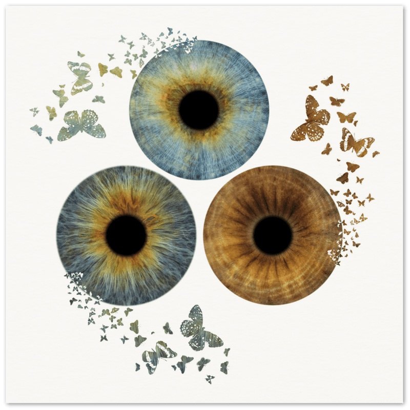 Custom Trio Iris Premium Poster with butterfly effect on black