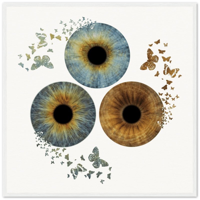 Custom trio iris poster with butterflies on white background