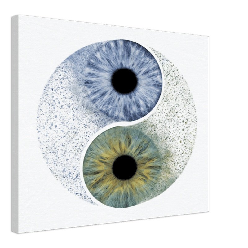 Ethereal custom duo iris canvas with yin-yang design on black