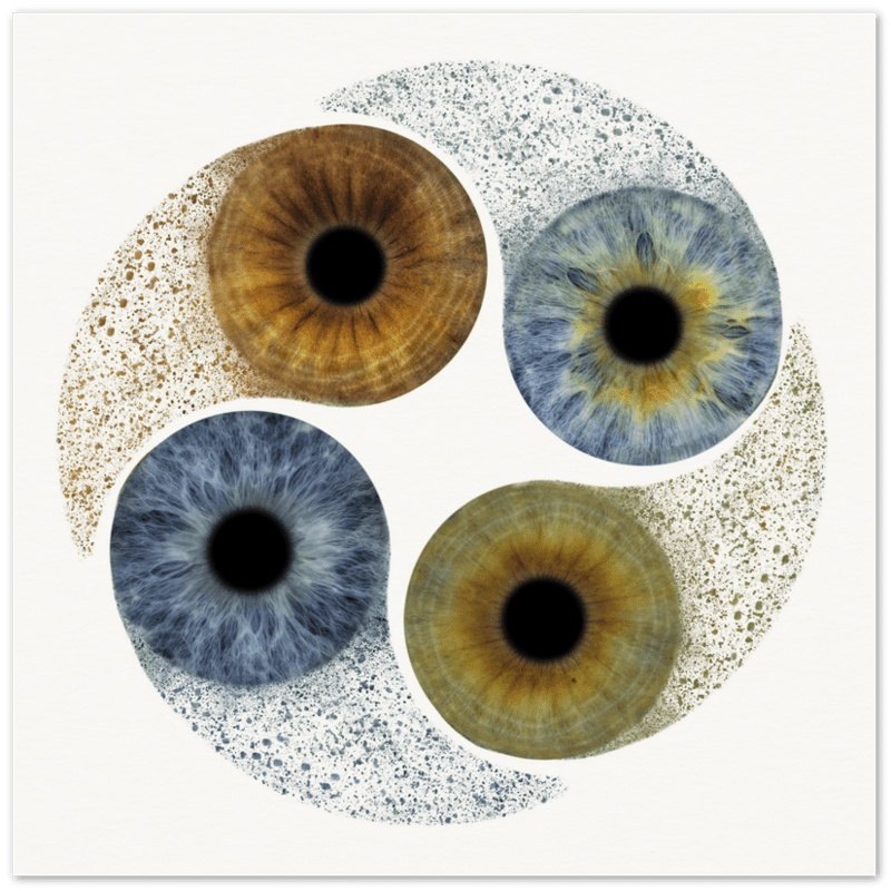 Ethereal Quartet Iris Poster with four colorful irises