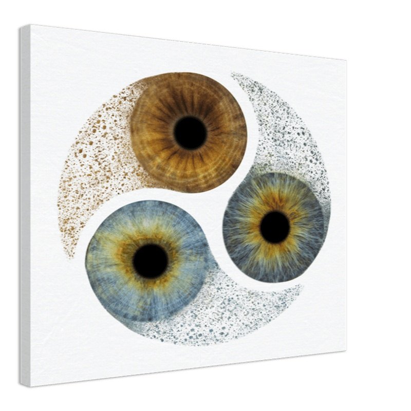Custom trio iris canvas with white background