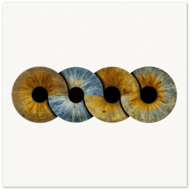 Infinite Custom Quartet Iris Poster on black background