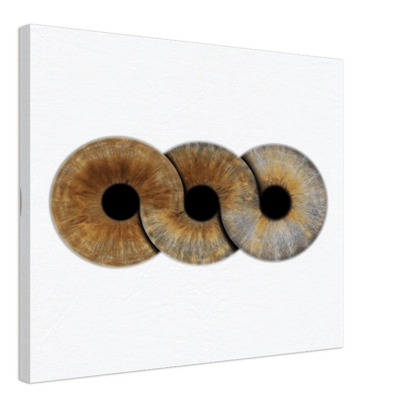 Custom Trio Iris Canvas on black background