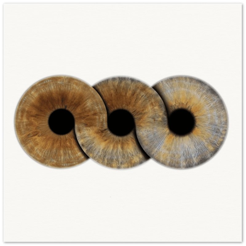 Custom Trio Iris Premium Poster on black background