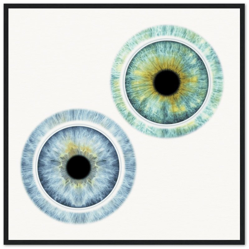 Luminous duo iris black framed poster on white background