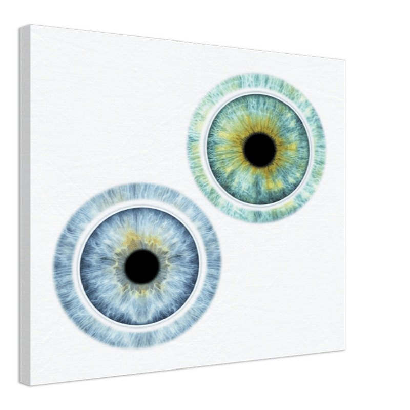 Custom Duo Iris Canvas on black background