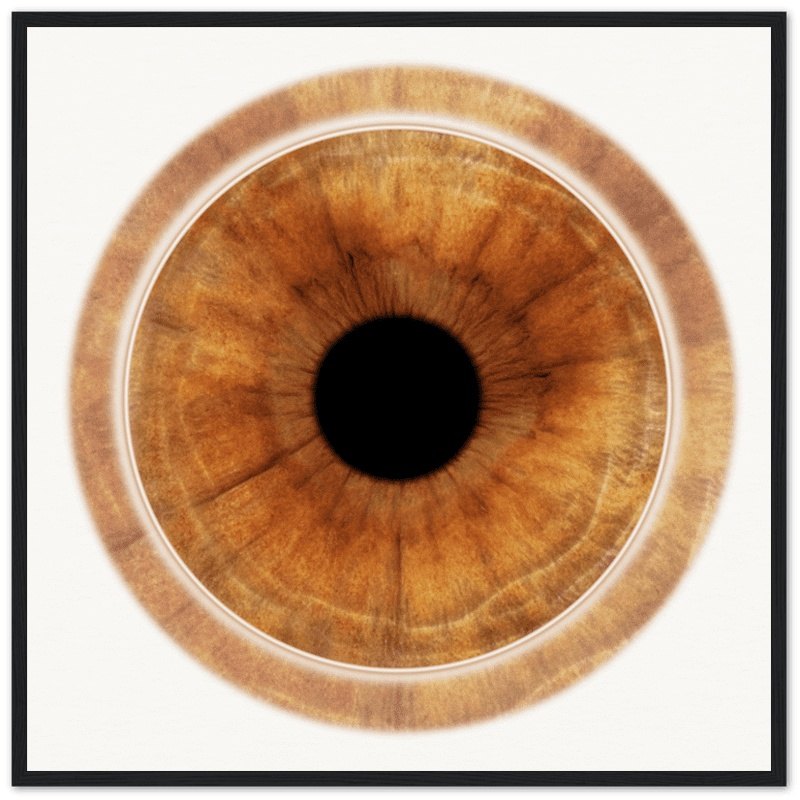 Custom iris black framed poster with brown iris detail