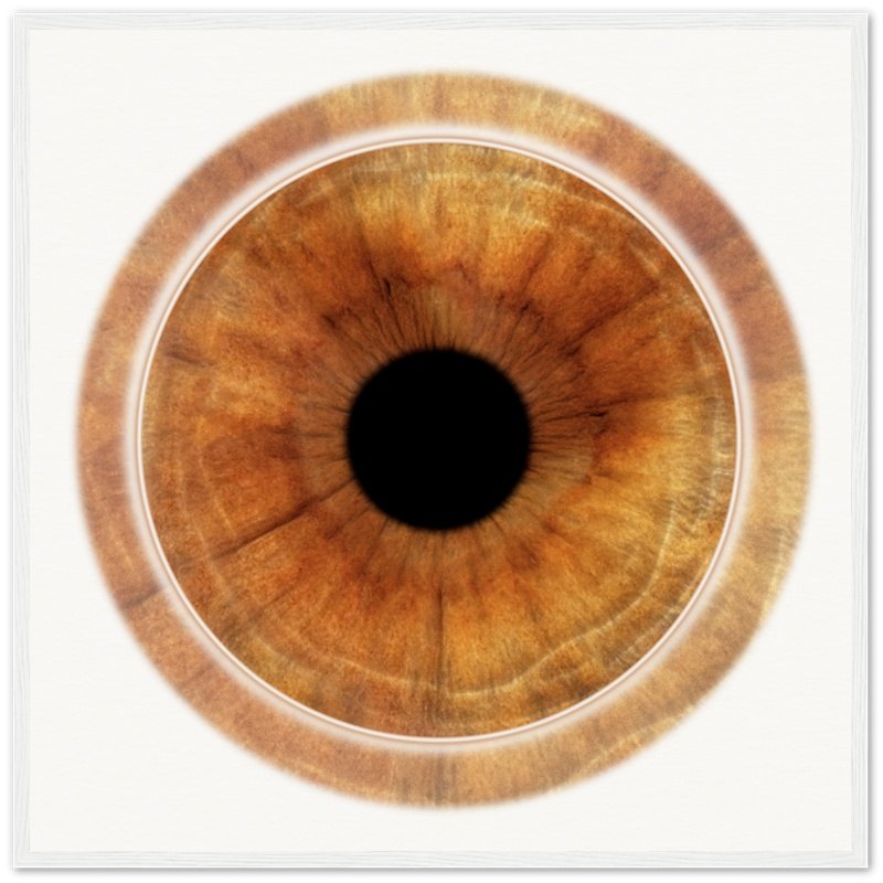 Custom iris poster with dark background, white frame