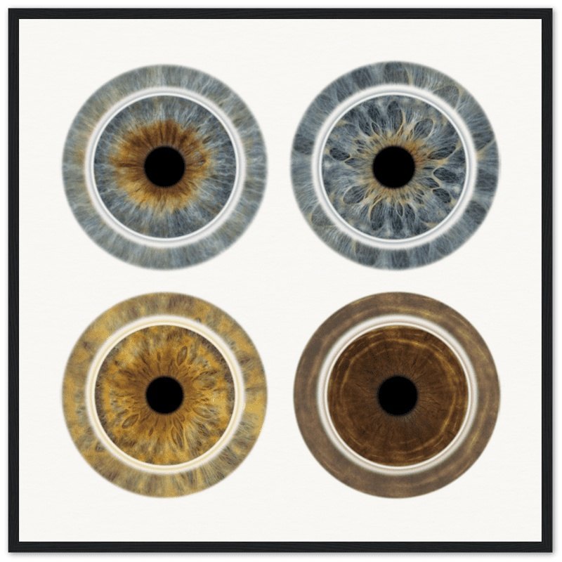 Custom quartet iris black framed poster with four irises.