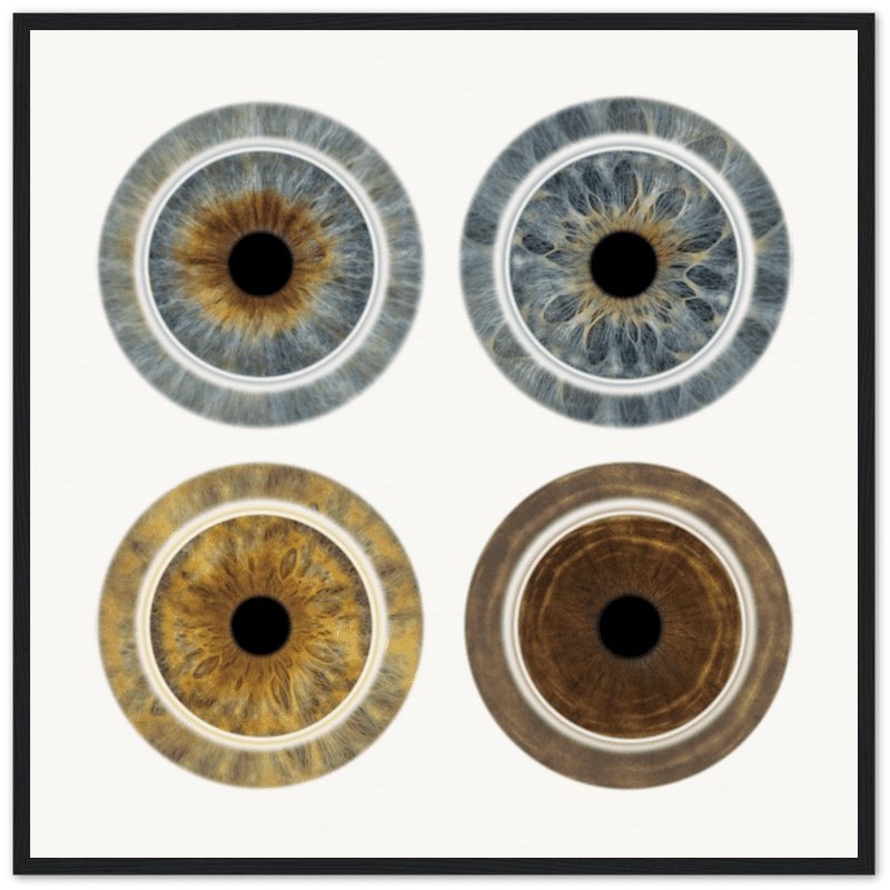 The Luminous - Custom Quartet Iris Black Framed Poster