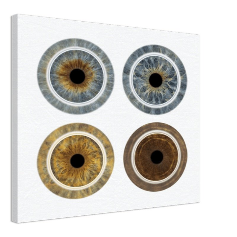 Luminous Quartet Iris Canvas on white background