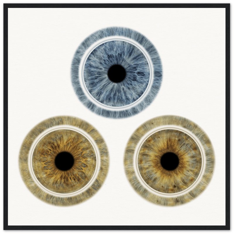 Trio of irises in black frame on light background