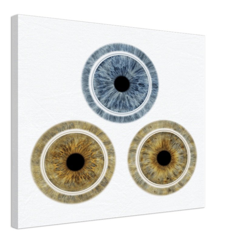 Custom Trio Iris Canvas with light background